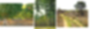 image not found