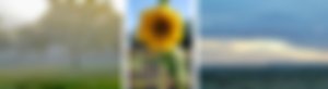 image not found